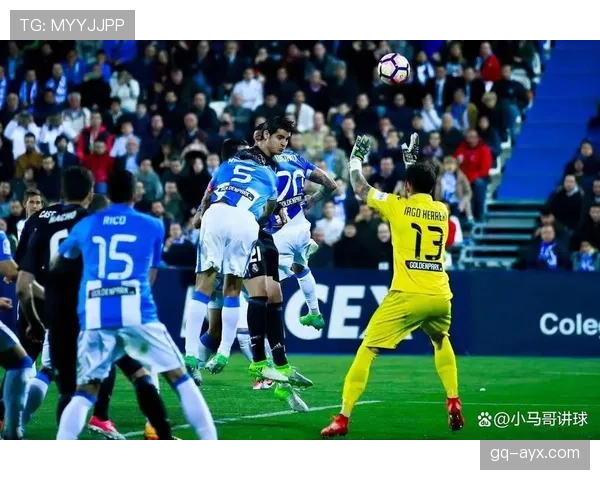 西甲蓝白队任命新帅，开启重塑与复兴新篇章