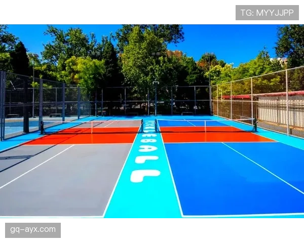 全新球场设施启用，全面提升球迷观赛体验与运动乐趣